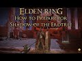 Elden Ring - How to Prepare for Shadow of the Erdtree