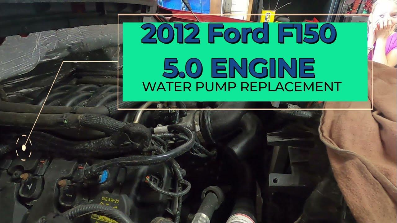 2012 FORD F150 5.0 WATER PUMP REPLACEMENT - YouTube