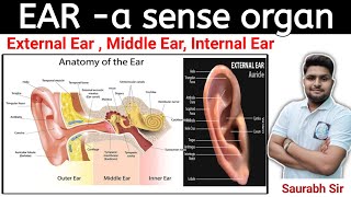 Ear in Hindi || Sense organs || For Medical , Nursing, NEET