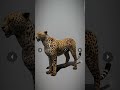 3D figure of a cheetah #()