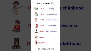 Stages of human life cycle | Learn English with Bouty Stages of human life cycle | Learn English with Bouty