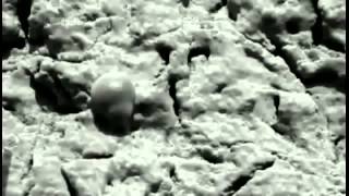 Universe Documentary 2015 - Science Documentary HD Welcome to Mars - Space Documentary 2015