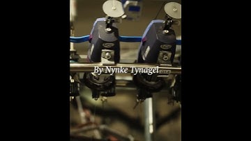 Anatomic by Nynke Tynagel for inCC: