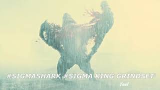 Sigma King Shark