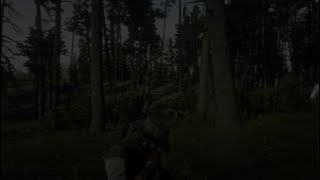 Survive 18 Bear Attacks Red Dead Redemption 2
