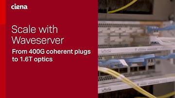 Scale with Waveserver: From 400G coherent plugs to 1.6T optics