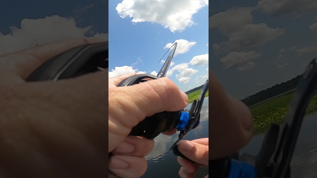 This is WHY you fish a Chatterbait! 