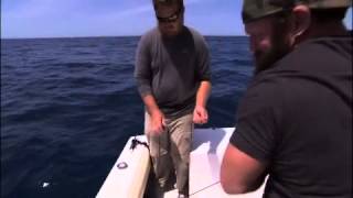 Eric Young takes on the Goliath Grouper!
