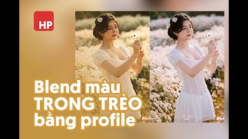 Blend màu trong trẻo bằng profile trong Lightroom và Photoshop