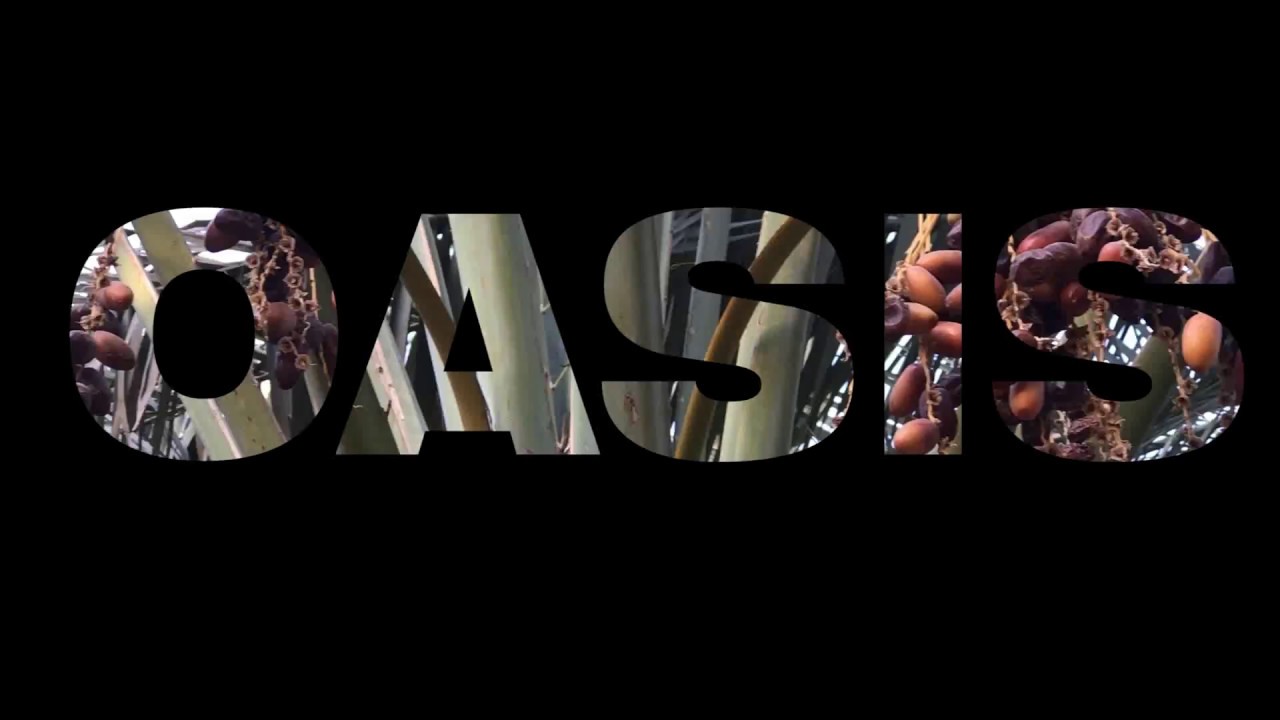 Oasis  Al Ain UAE  with Location Map