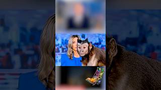 Ζώα μέσα στο στούντιο του ΣΚΑΪ #radioarvyla #shorts