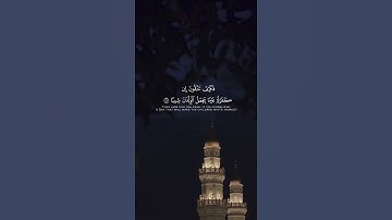 سورة المزمل | ياسر مرعشي