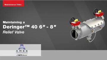 Maintaining a Deringer™ 40 6" – 8" Relief Valve
