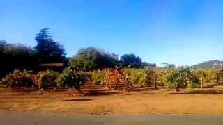 WP 20131014 051