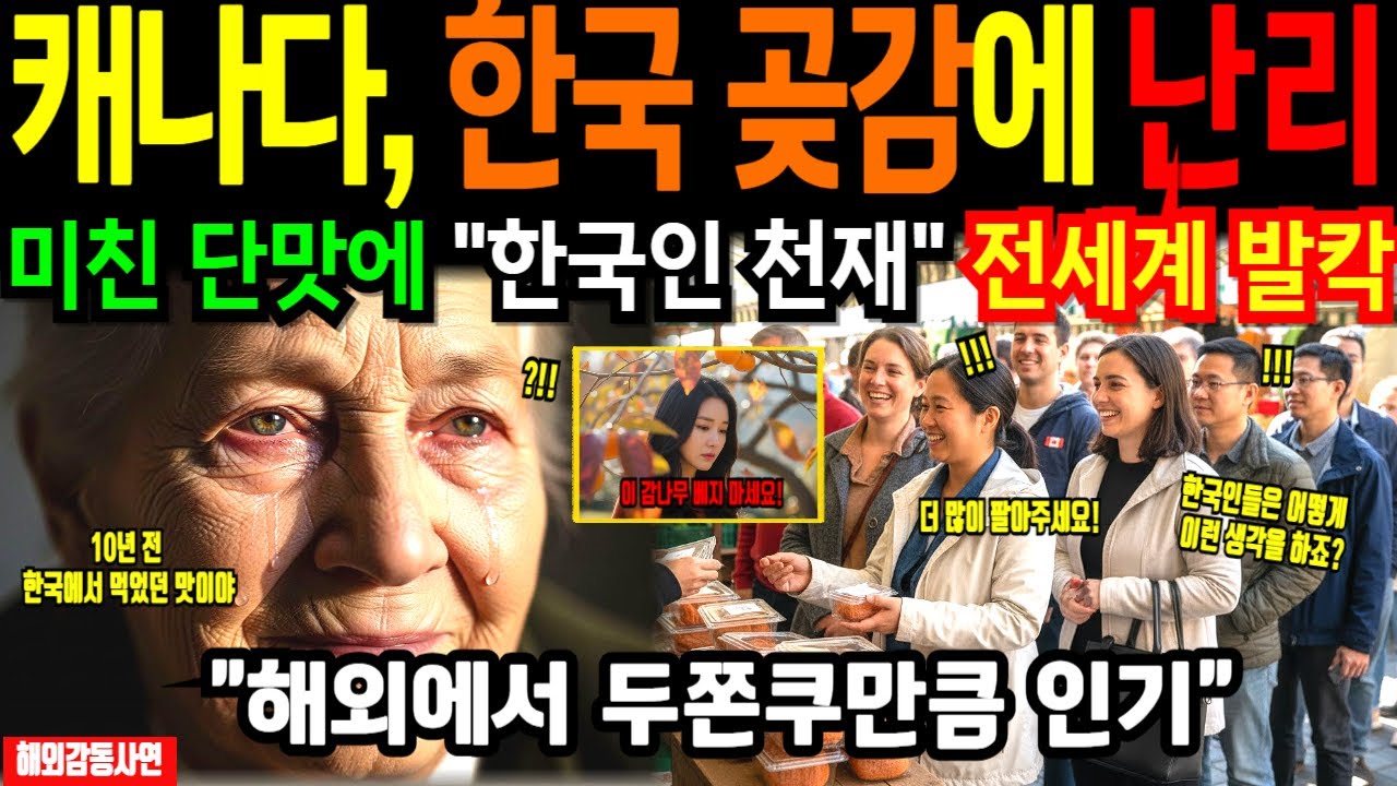 [해외감동사연] 평생 버려온 감 주워 곶감 만든 한국 며느리, 한국인들 천재 홍시와 곶감의 충격적인 맛에 캐나다 뒤집어졌다