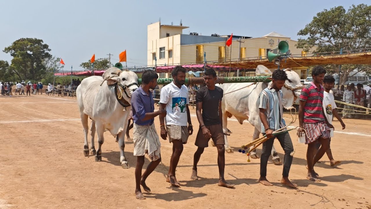 అహోబిలం  న్యూ కేటగిరి విభాగంలో 8వ జత