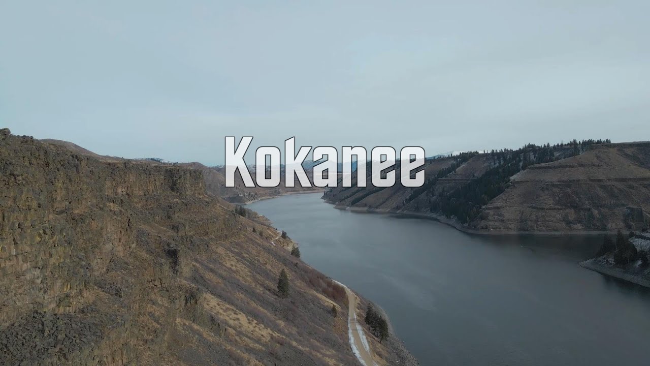 Early Winter Kokanee Trolling before the Ice | Kokanee Fishing