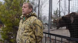 Я не смогу смотреть как УМИРАЮТ ОТ ГОЛОДА МОИ МЕДВЕДИ !!! Я не смогу смотреть как УМИРАЮТ ОТ ГОЛОДА МОИ МЕДВЕДИ !!!