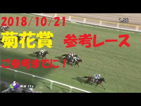【2018/10/21】菊花賞　参考レースまとめ