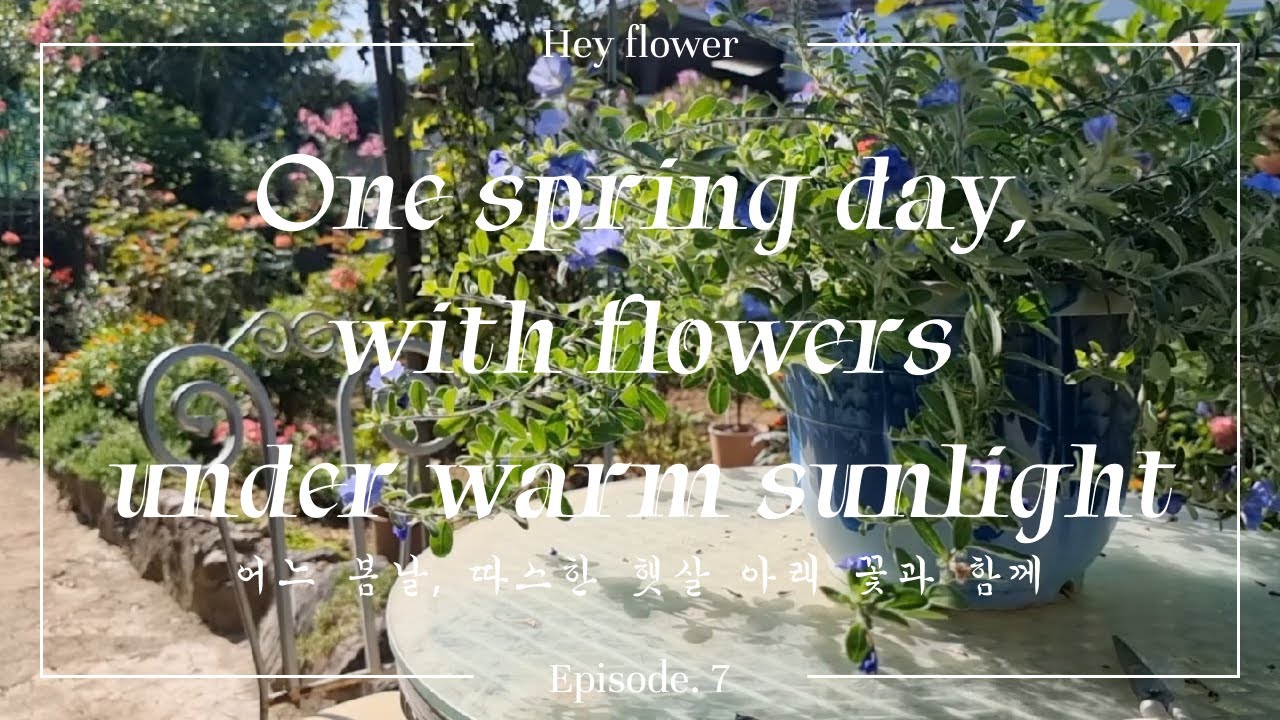 [EP.7] 어느 봄날, 따스한 햇살아래 꽃과 함께 One spring day, with flowers under warm ...