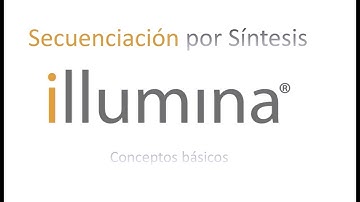 Secuenciación por Síntesis (Illumina): Conceptos Básicos