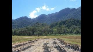 Kembali Ke Sekolah Sherina Karaoke