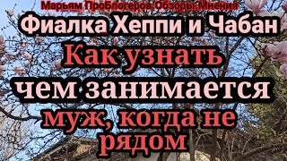 Фиалка Хеппи.Эту квартиру не продать?Юра ТяпкинА?Симптоматичные оговорки,не правда ли?