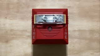 Wheelock NS4-241575W Individual Test