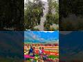 kashmir ka mousam#mountains