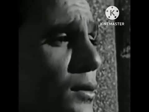 لن احب سواها بصوتي ياسر