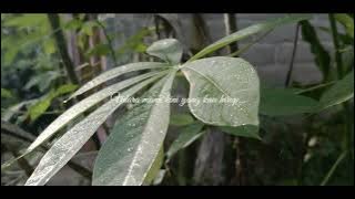 Story wa cinematic aesthetic Dere kota   Lyrics