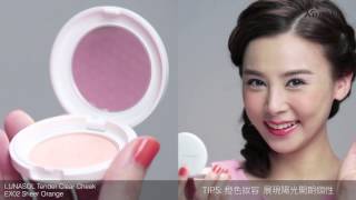 Kanebo Lunasol Ss15 Makup Collection