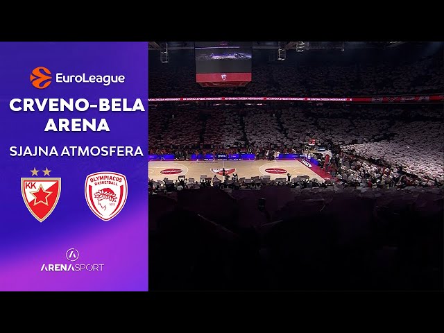 GORI ARENA PRED BRATSKI DERBI | Crvena zvezda - Olympiacos | Evroliga | 26. novembar 2025.