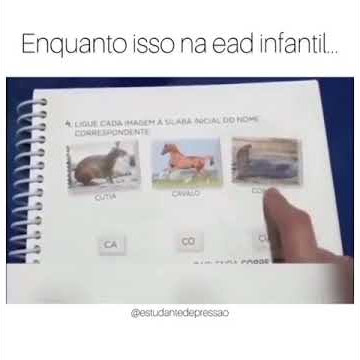 PROFESSORA ACHA GRAÇA NA AULA ONLINE DO INFANTIL POR CAUSA DO CU DA CUTIA | PROFESSORA RI NO EAD