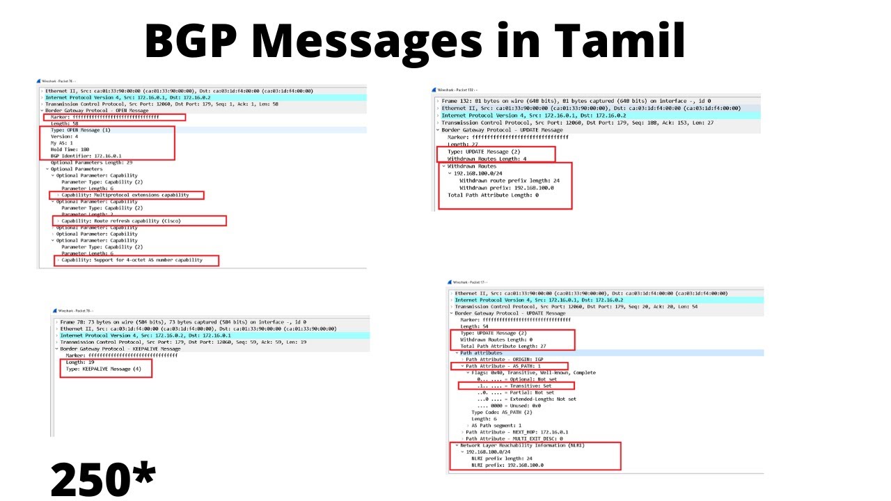 BGP11. BGP Messages in Tamil YouTube