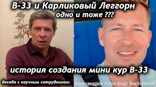 В-33 И КАРЛИКОВЫЙ ЛЕГГОРН ОДНО И ТОЖЕ? ИСТОРИЯ СОЗДАНИЯ МИНИ КУР В-33. БЕСЕДА С АЛЕКСАНДРОВЫМ А.В.
