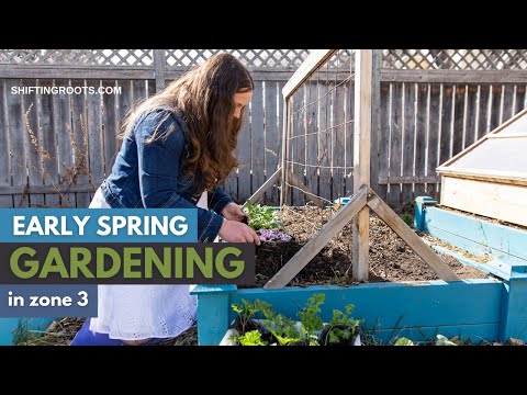 Video: 3. zonas dārzeņu dārzkopības ceļvedis - padomi par dārzeņu dārzkopību 3. zonā