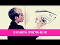 Clase de maquillaje profesional estructura del ojo  tumakeup