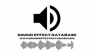 Horsedrawn Wagon Sound Effect