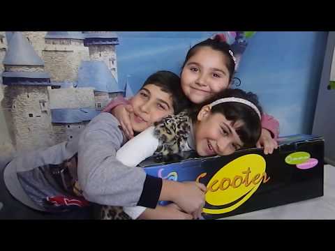 პრინცესა ანას დაბადების დღის საჩუქრები.