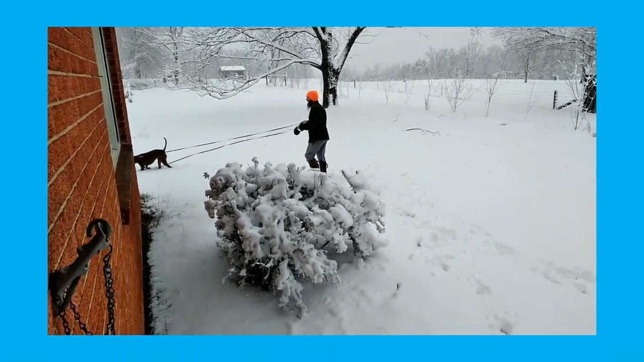Charlie's First Snow! Playtime In The Snow!