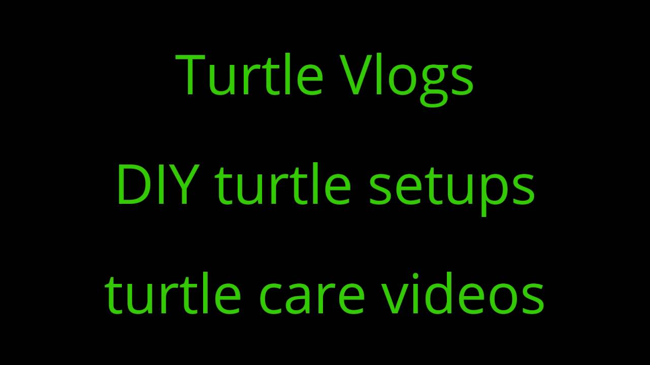 video phone beyonce mp3 Turtle Boss Channel Trailer