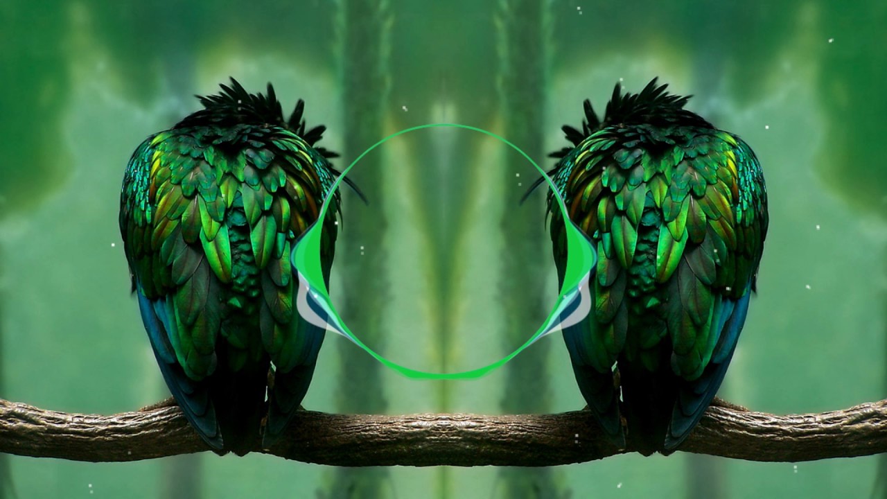 {Dubstep} Mark The Beast - In love with the devil (DMVU remix)