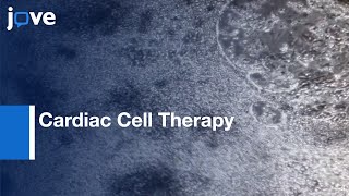 Construction: Defined Human Engineered Cardiac Tissues: Studying Mechanisms l Protocol Preview