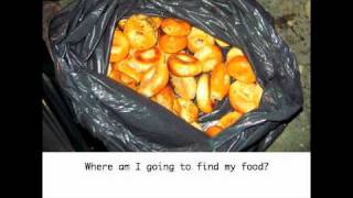 Freeganism the movie