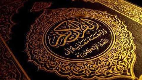 سورة القلم بصوت  "الشيخ هاني أبو شيته"   قراءة مميزة