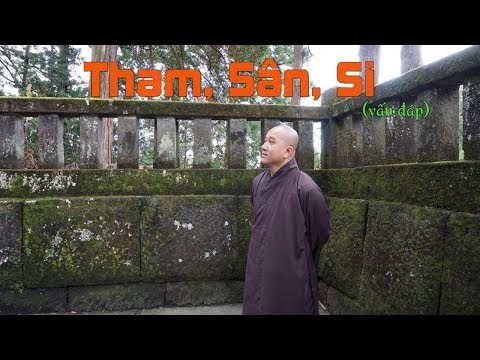 Video Tham, Sân, Si, là gì? (vấn đáp) - Thầy Thích Pháp Hòa - youtube