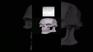 The Skull Is Spinning Meme...