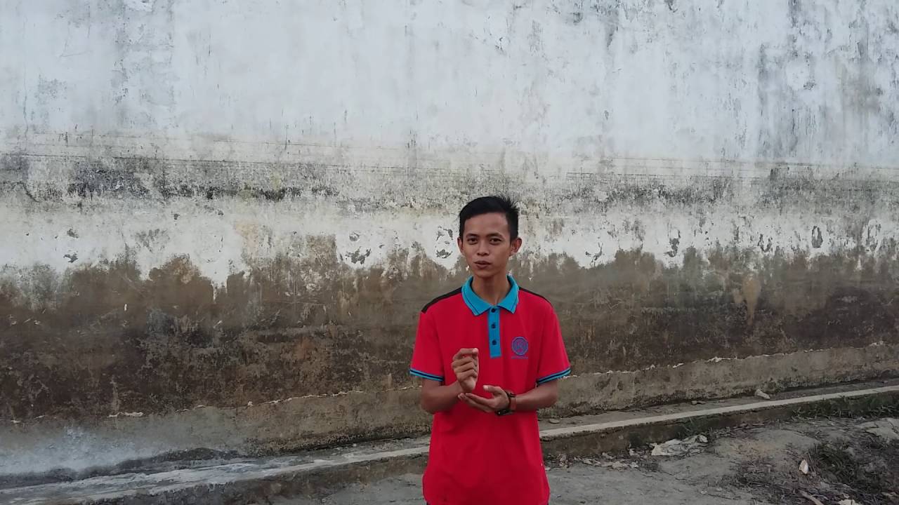 Usaha Sarang Burung Walet- The Big Start Indonesia by Blibli.com 