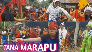 PESTA WOLEKA SUMBA // SYUKURAN || ADAT TANA MARAPU.